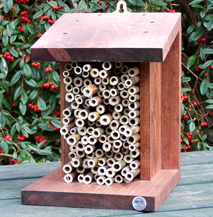 Bee / bug habitat