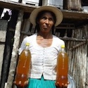 Honey from stingless bees