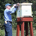 Charlie Brandts, White House Beekeeper